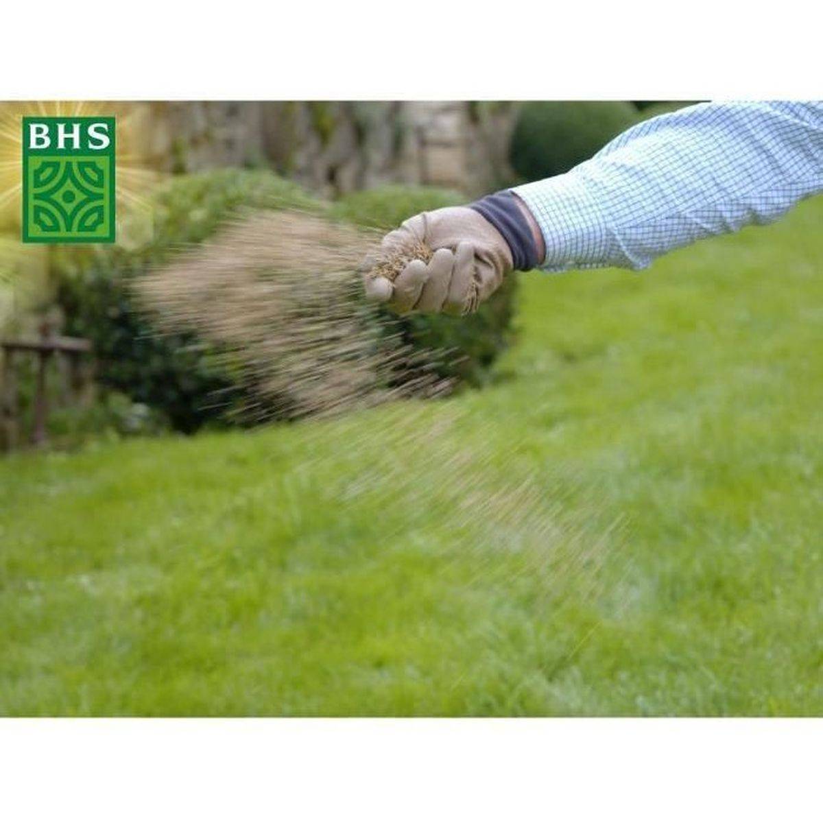 BHS - Graines de gazon rustique BHS - Image 3