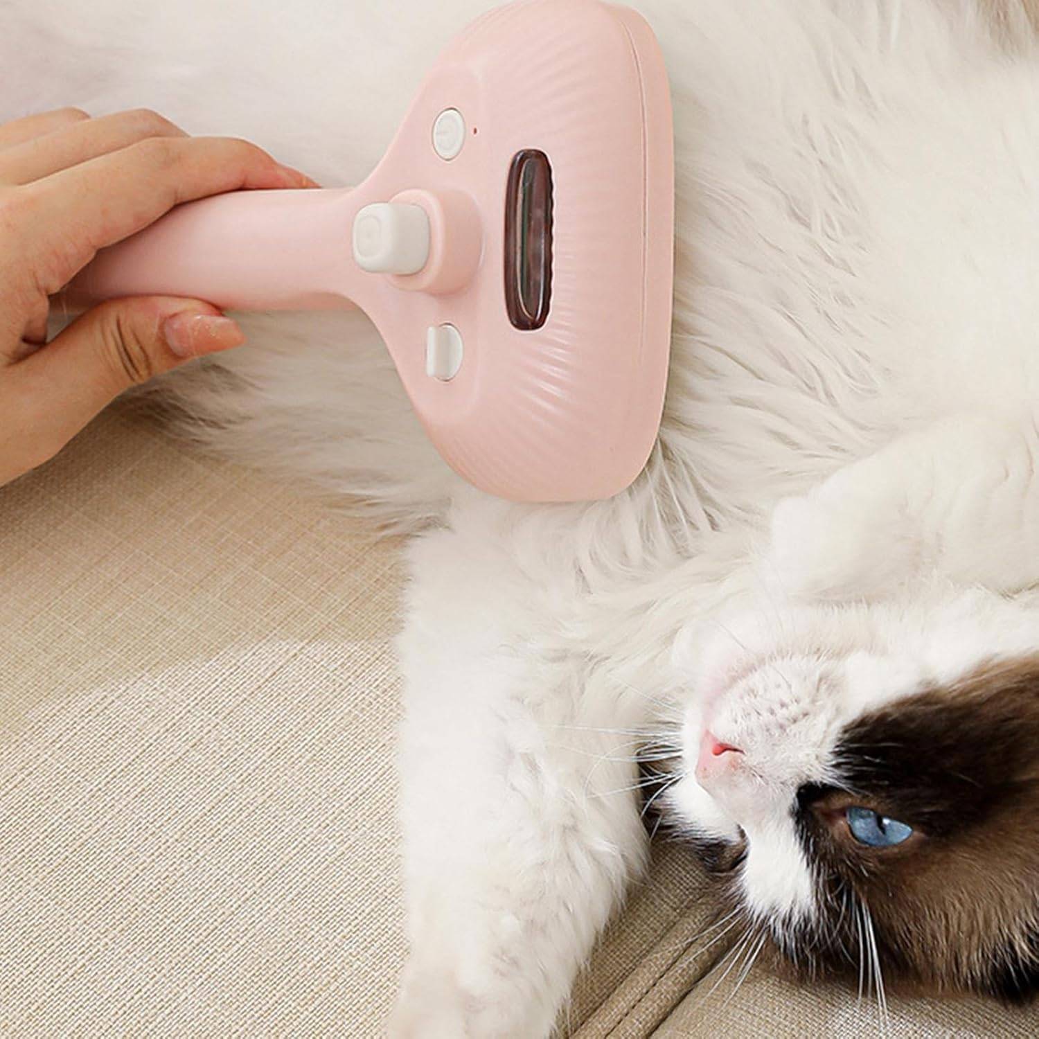 DtopbuyAge - Brosse vapeur pour chat et chien - Toilettage et massage DtopbuyAge - Image 5