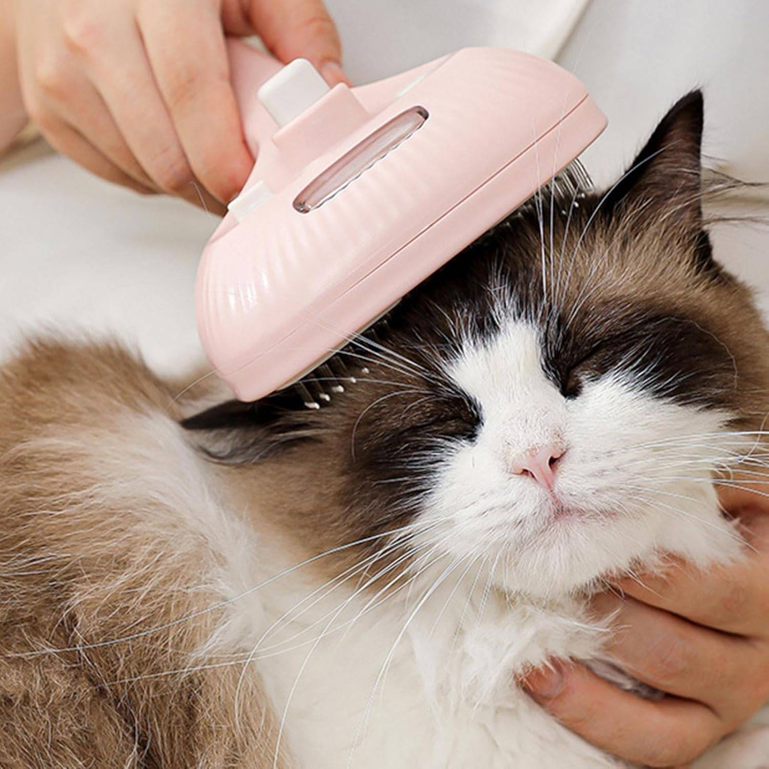 DtopbuyAge - Brosse vapeur pour chat et chien - Toilettage et massage DtopbuyAge - Image 2