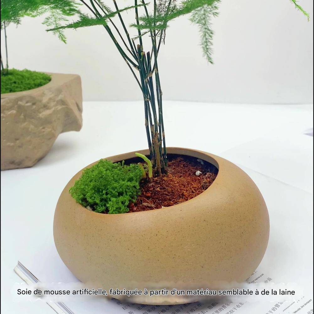 Mousse Artificielle pour Décoration de Jardin - Lot de 2 - Aspect Naturel et Sans Entretien - 60g - Lytech - Image 5