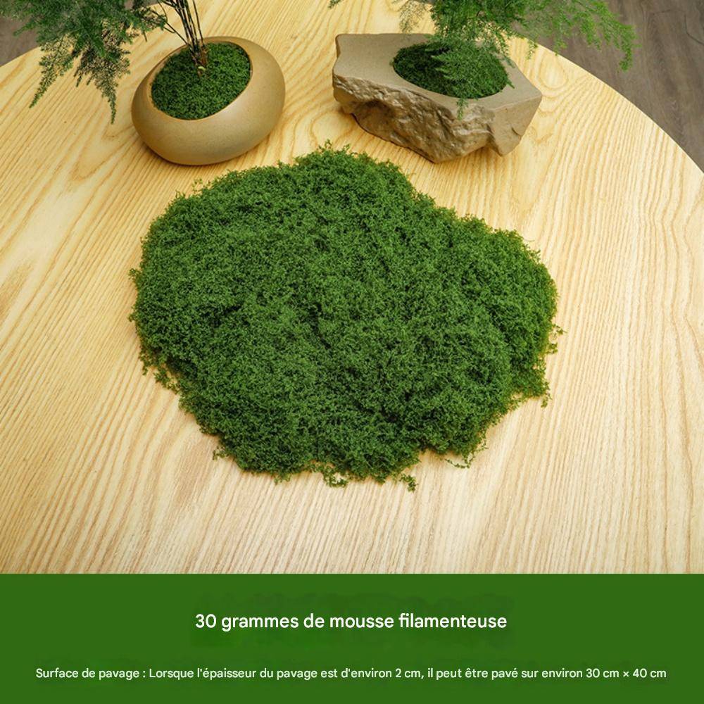 Mousse Artificielle pour Décoration de Jardin - Lot de 2 - Aspect Naturel et Sans Entretien - 60g - Lytech - Image 2