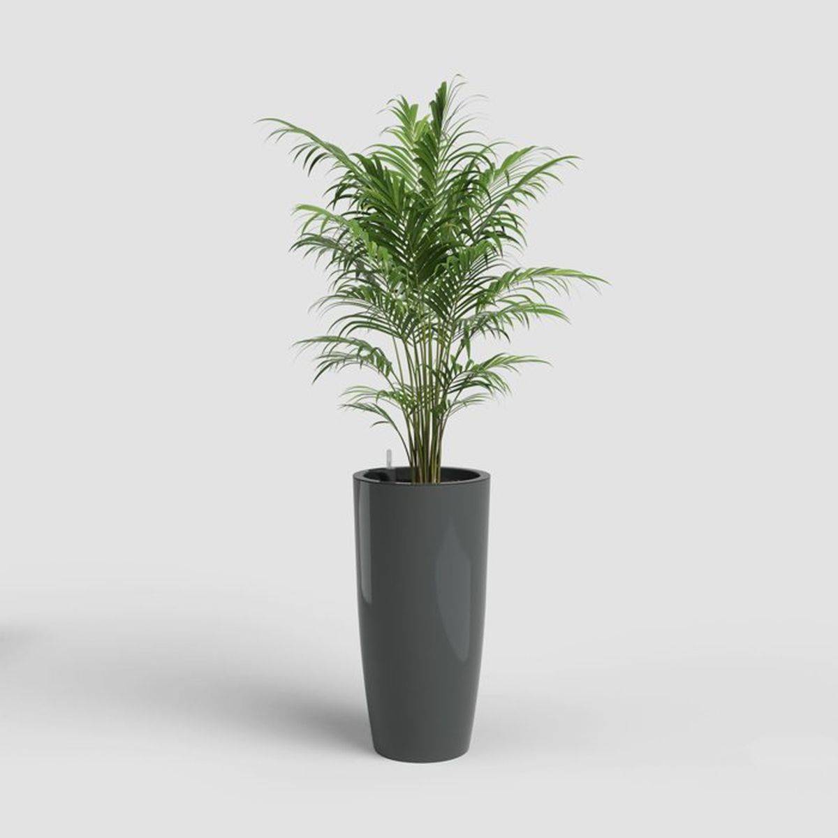 Pot de fleurs auto-arrosant Santorini 78 cm anthracite plastique brillant 72 L - Artevasi - Image 2