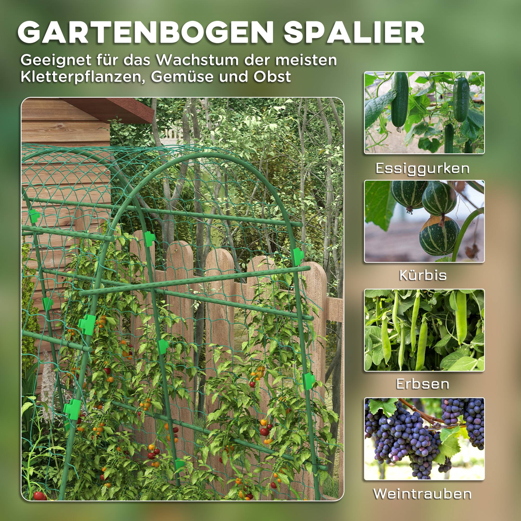 PANGIVO - Treillage pour plantes grimpantes, acier, vert, 144 x 167 x 206 cm - PANGIVO - Image 4