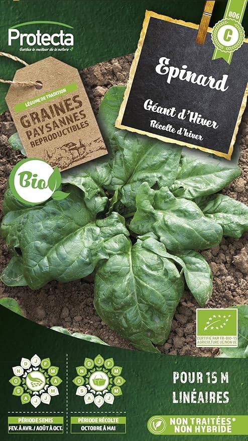 Protecta - Semence Epinard géant d'hiver BIO
