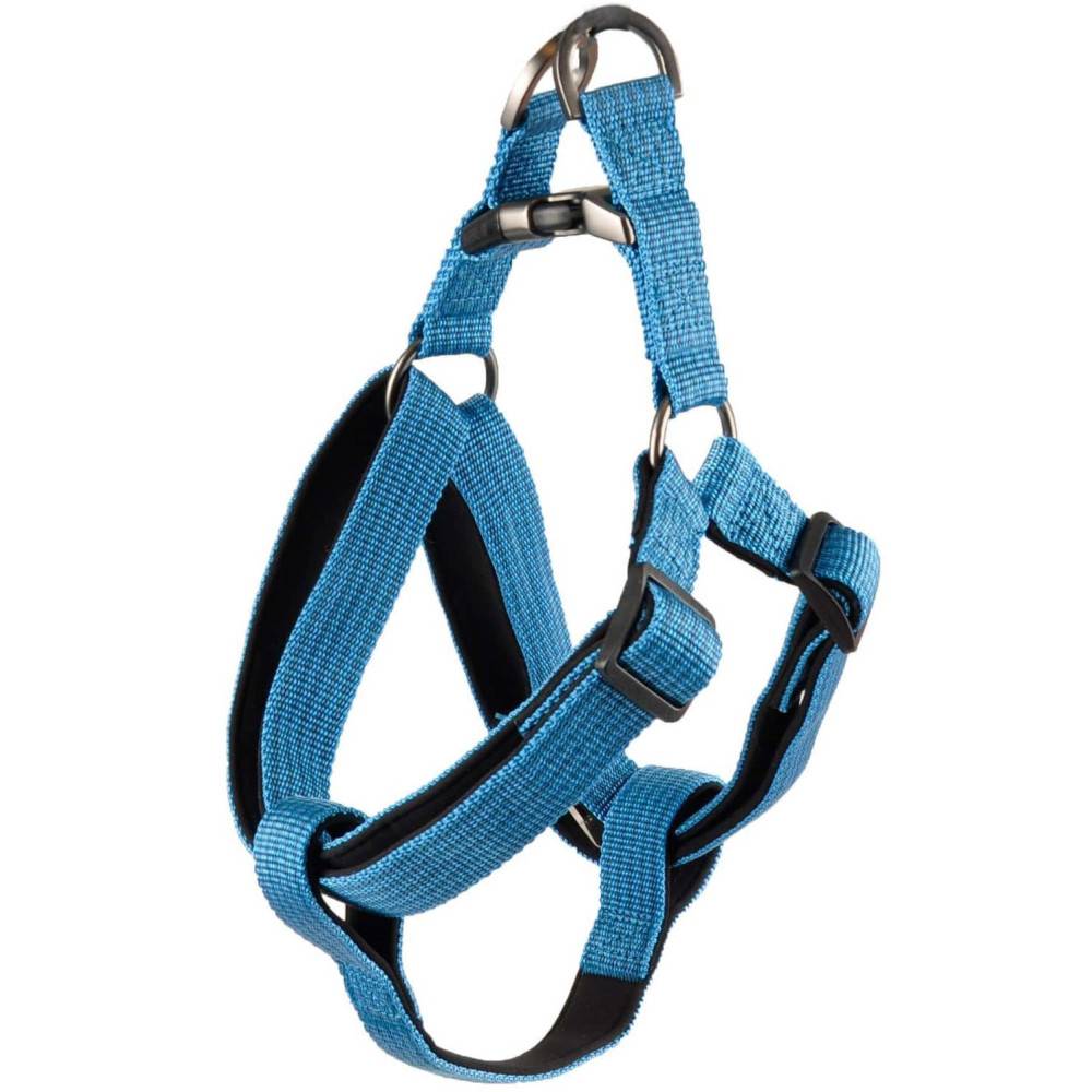 Flamingo - Harnais Jannu L 40-70 cm 25 mm  bleu pour chien - Image 1
