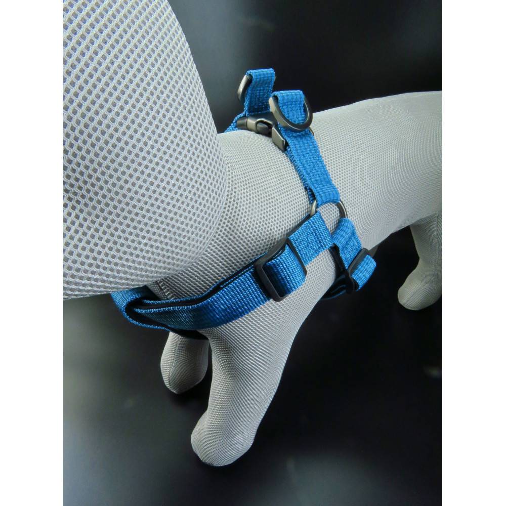 Flamingo - Harnais Jannu L 40-70 cm 25 mm  bleu pour chien - Image 8