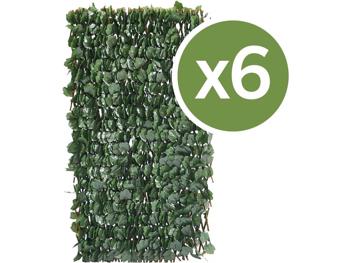 Lot De 6 Clôtures En Treillis De Saule "fragon" - 200 X 100 Cm - Vert -habitat Et Jardin - Image 1
