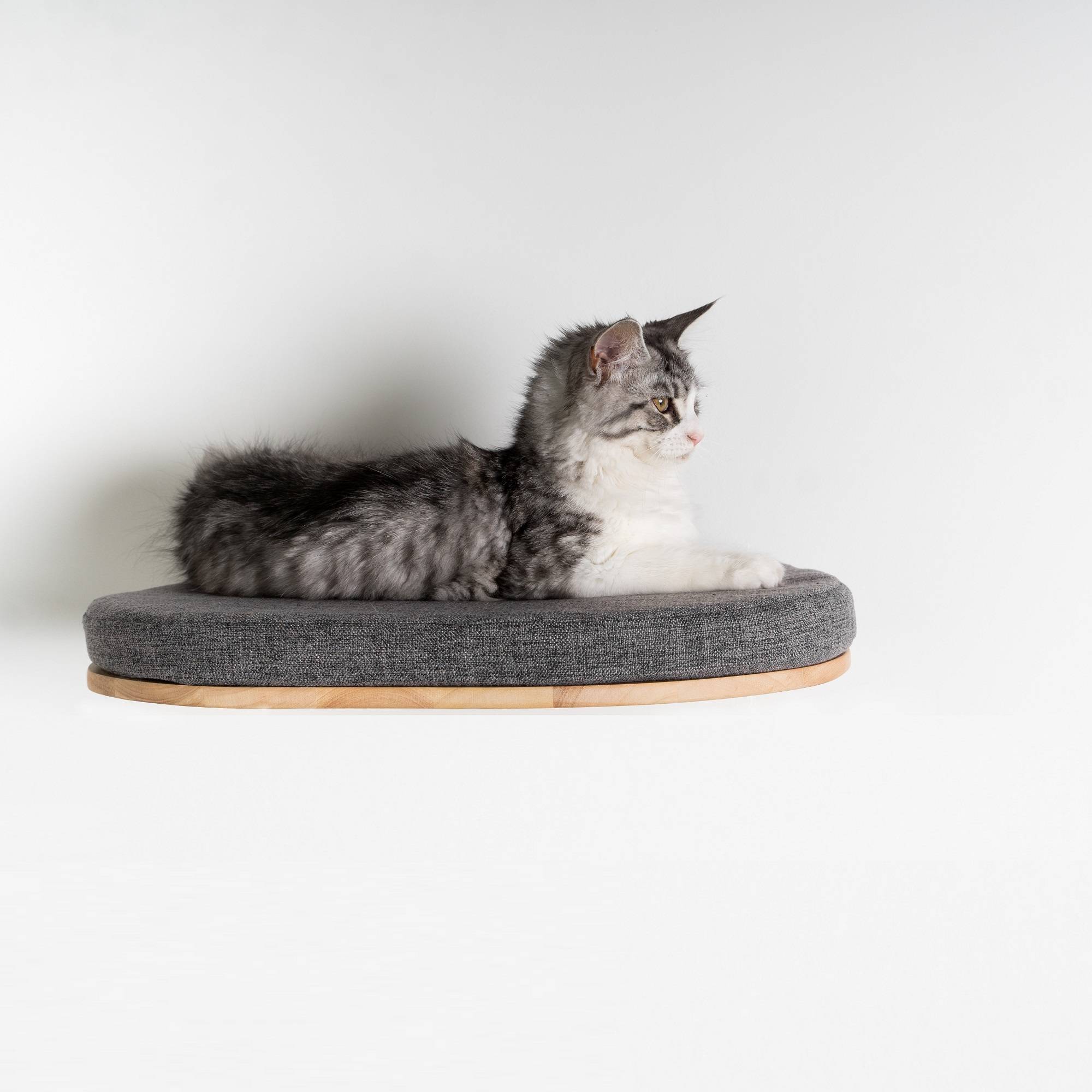 Rhr Concepts Bv - Mur d’escalade pour chat - Luxueux lit mural pour chat (gris) - RHR Concepts BV - Image 2