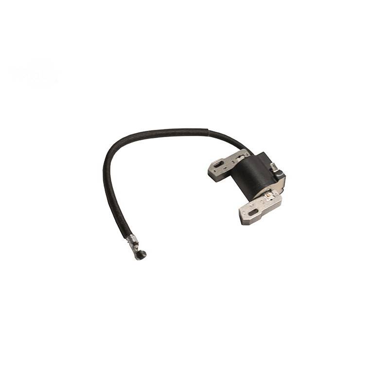 Rotary 16153 - Bobine d'allumage remplacement briggs & stratton - 16153 ...