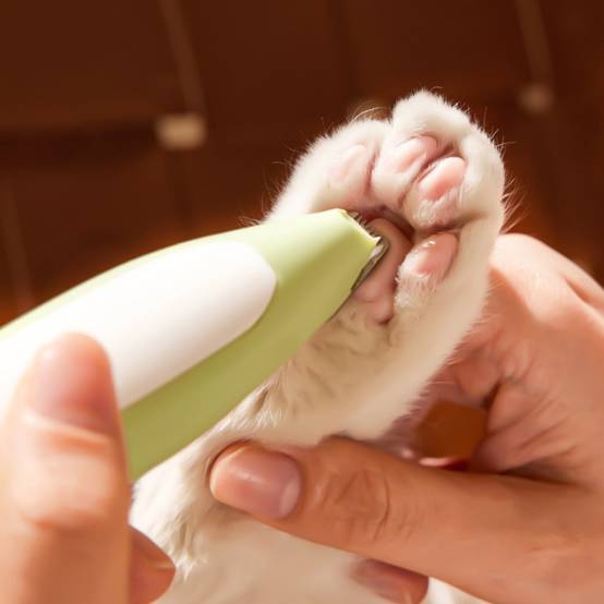 IntiMeg - Tondeuse pour pattes d'animaux avec lumière LED Violet IntiMeg - Image 7