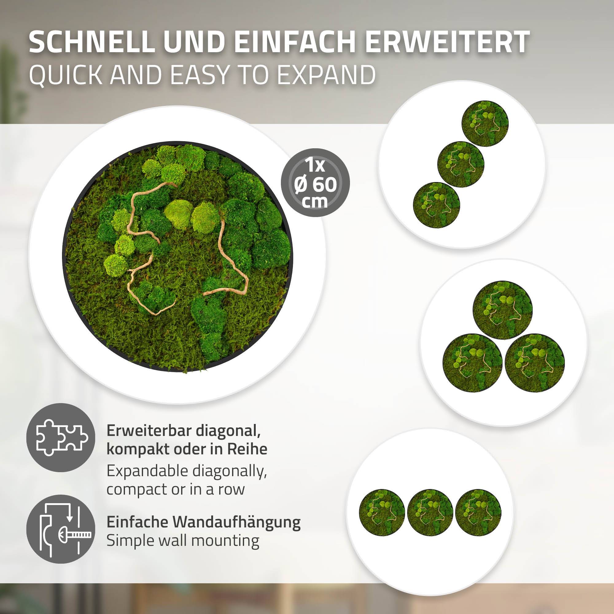 Ecd-Germany - Tableau végétal mural, mélange de mousses stabilisées et de branches, rond Ø60cm, vert, décoration d'intérieur effet 3D, sans entretien, pièce unique - Image 4