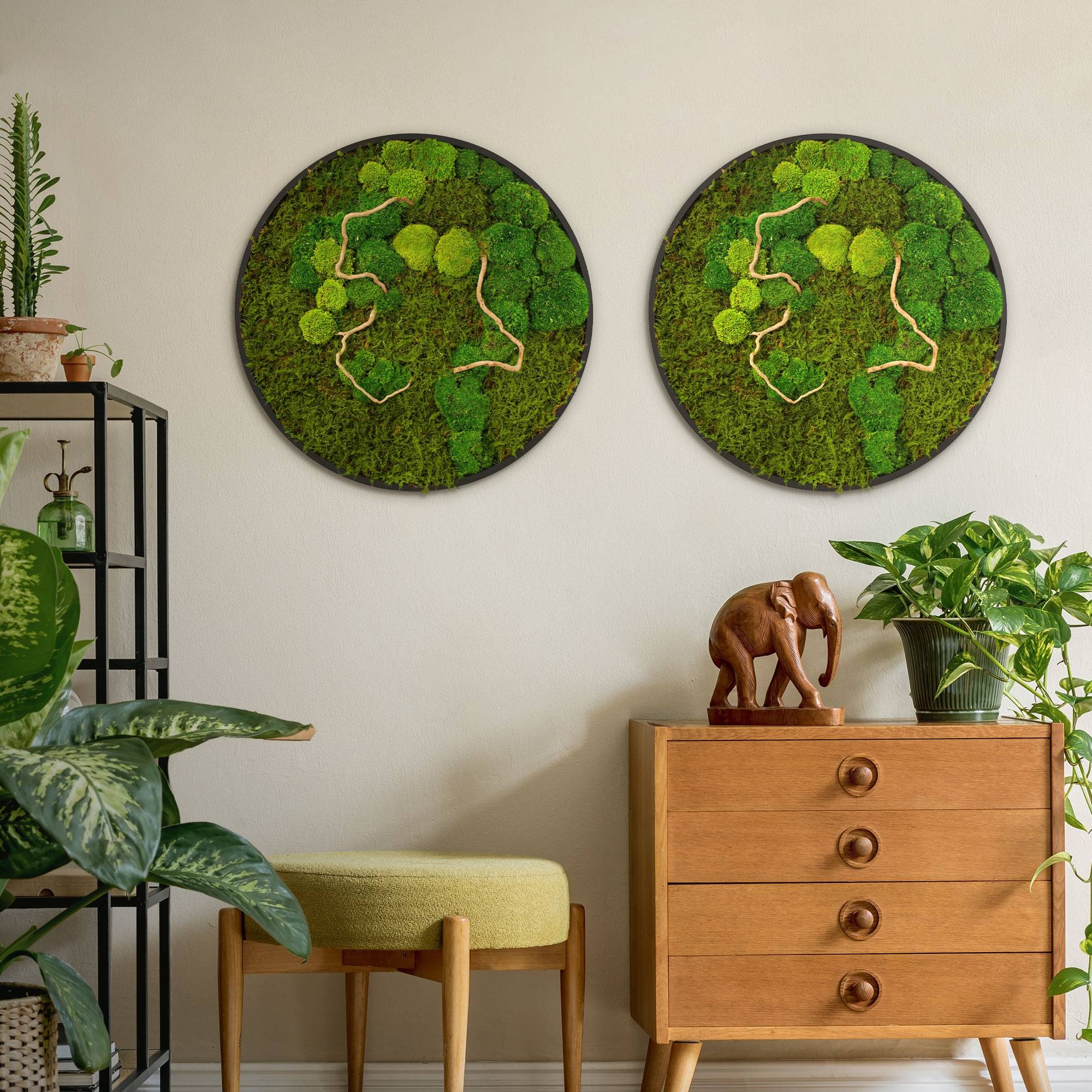 Ecd-Germany - Tableau végétal mural, mélange de mousses stabilisées et de branches, rond Ø60cm, vert, décoration d'intérieur effet 3D, sans entretien, pièce unique - Image 9