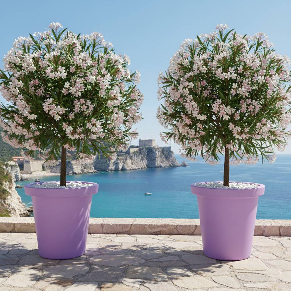 Plast'Up Rotomoulage - Pot de fleurs rond xxl delight 420l- lot de 2 - plast'up rotomoulage - Image 2