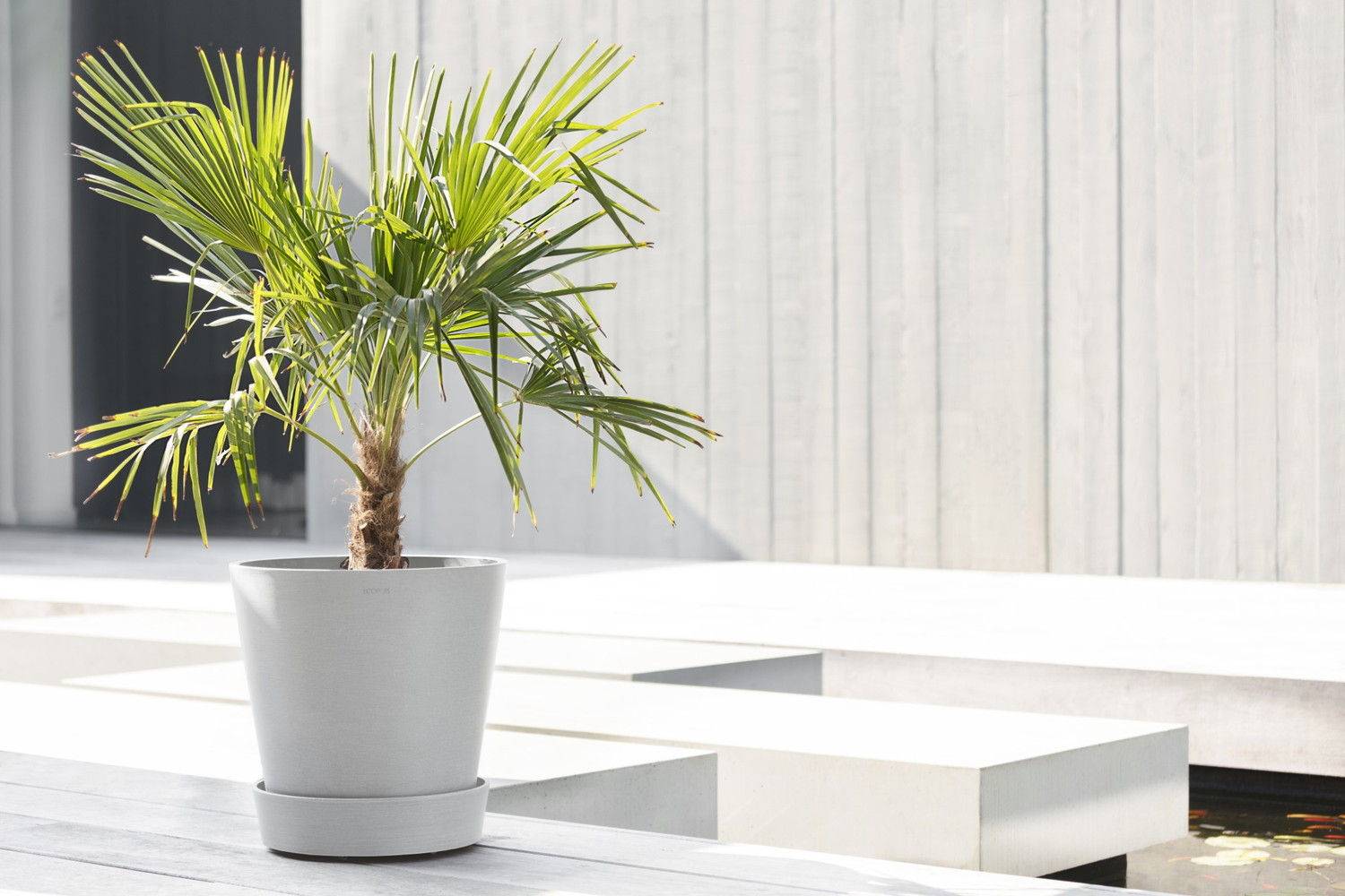 Ecopots - Support à roulettes Wheels 40 Blanc Gris - Ø 34,1 x H. 9 cm ECOPOTS - Image 4