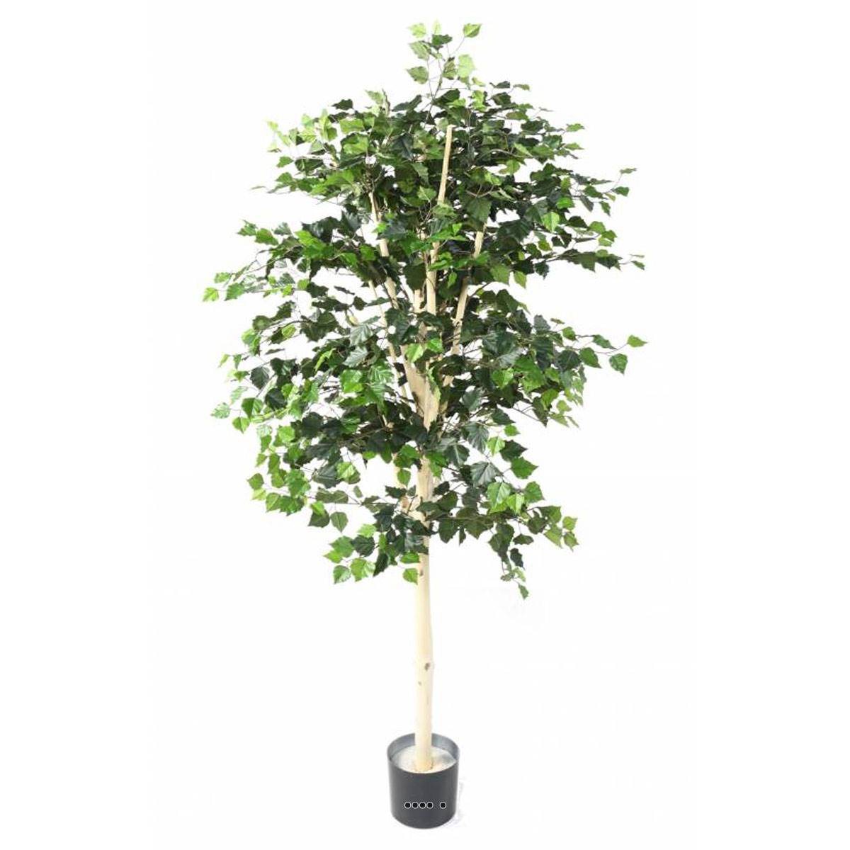 Artificielles - Bouleau artificiel en pot, H 170 cm, D 80 cm, feuillage vert