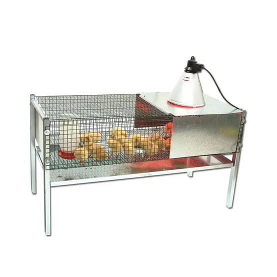 Kit Cage éleveuse poussins et cailles 100 x 60 x 50 cm - Image 1