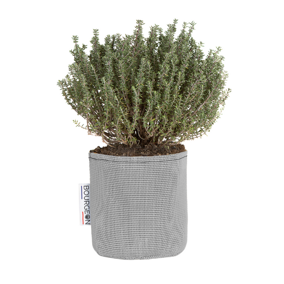 Bourgeon - Sac à plantation respirant 12 cm Gris - Bourgeon - Image 1