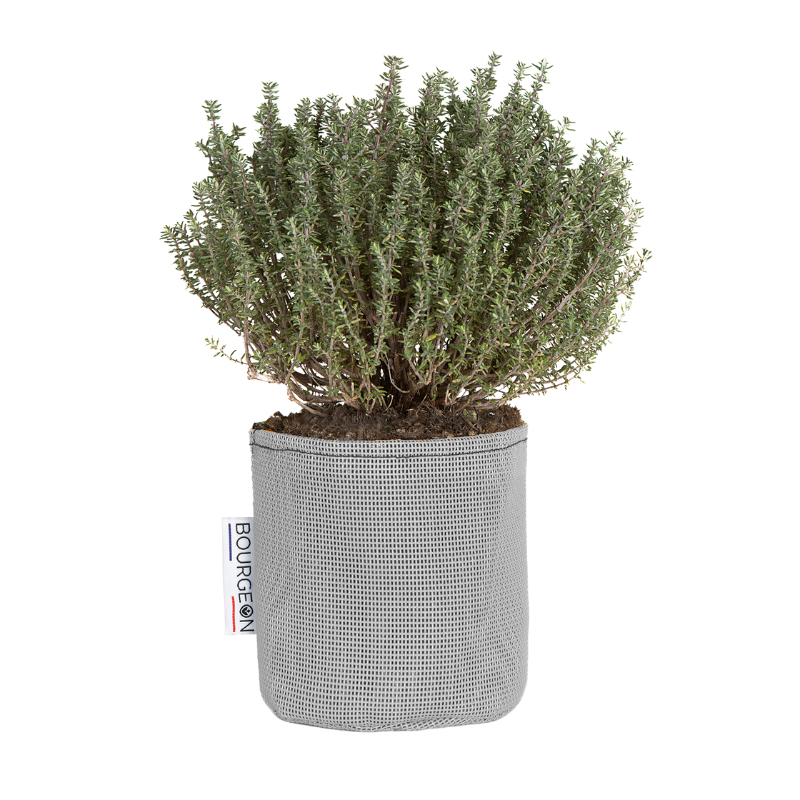 Bourgeon - Sac à plantation respirant 12 cm Gris - Bourgeon - Image 1