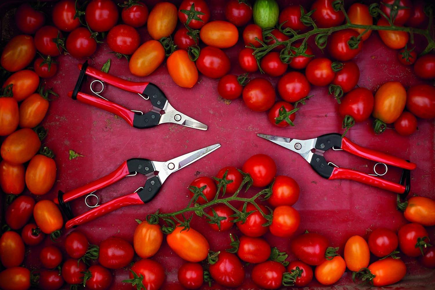 Felco - FELCO Sécateur Epinette n° 322 (Pour fruits, fleurs et légumes, manches en acier, lame droite chromée, droitiers et gauchers, 190 mm) FELCO 322 - Image 4