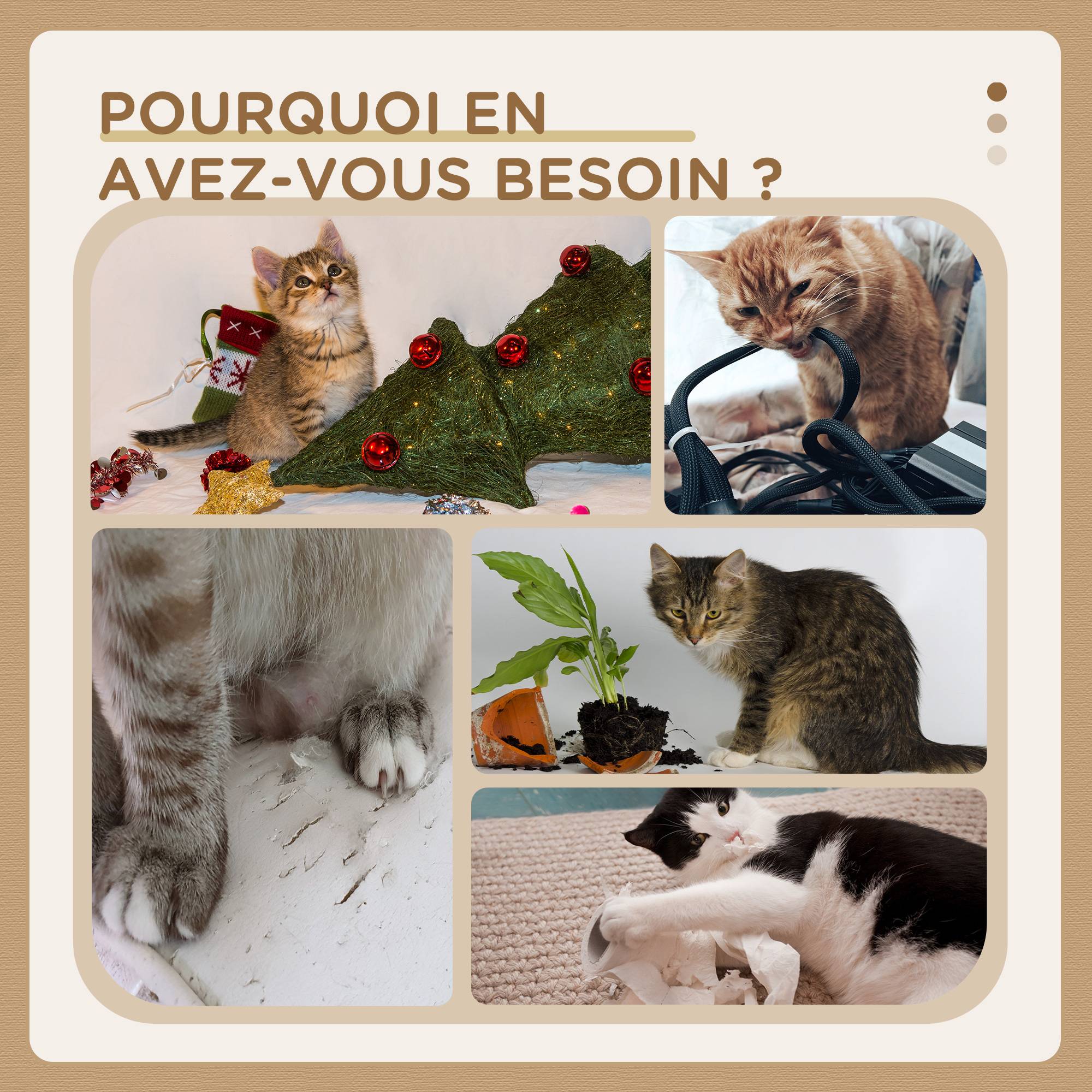 Pawhut - Arbre à chat style cosy naturel réglable H. 225-255 cm - niche, 2 rampes, plateforme, hamac - douce peluche courte beige - Image 6