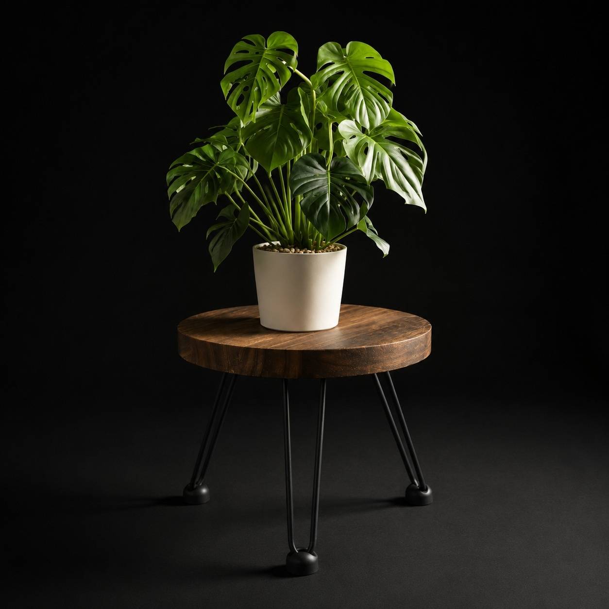 Support de Plante Bois et Métal Antidérapant Polyvalent Intérieur Extérieur - Image 7
