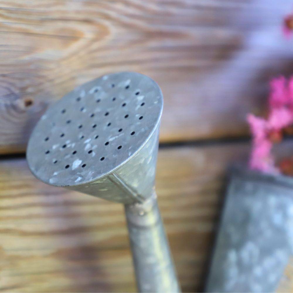 Jardinière extérieure murale porte plante arrosoir zinc gris 50cm Chemin de campagne - Image 5