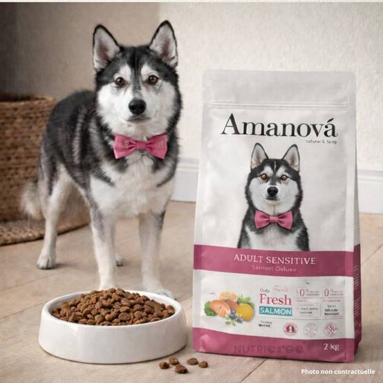 Croquettes Chien Sans Céréales Amanova Peau Sensible Saumon 2 kg - Image 2