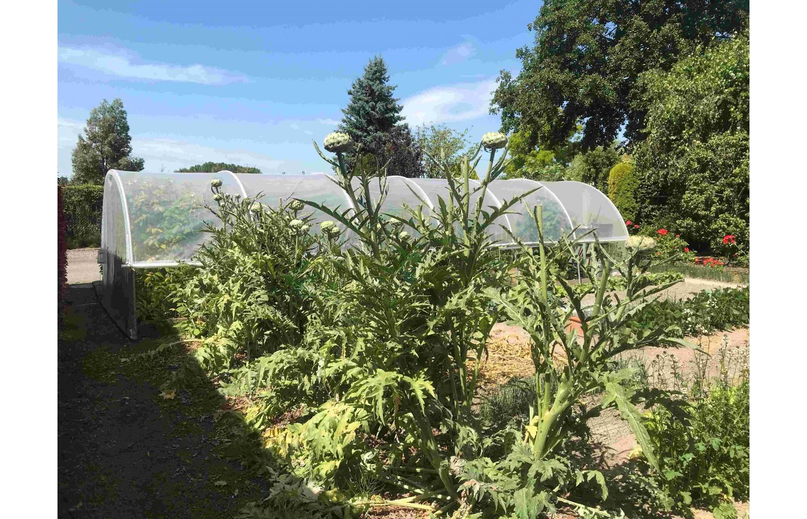 Serre tunnel de jardin - 33m² -  3,7 x 9 m - pieds arrondis - polyéthylène haute densité - aérations latérales - LES SERRES TONNEAU - Image 9