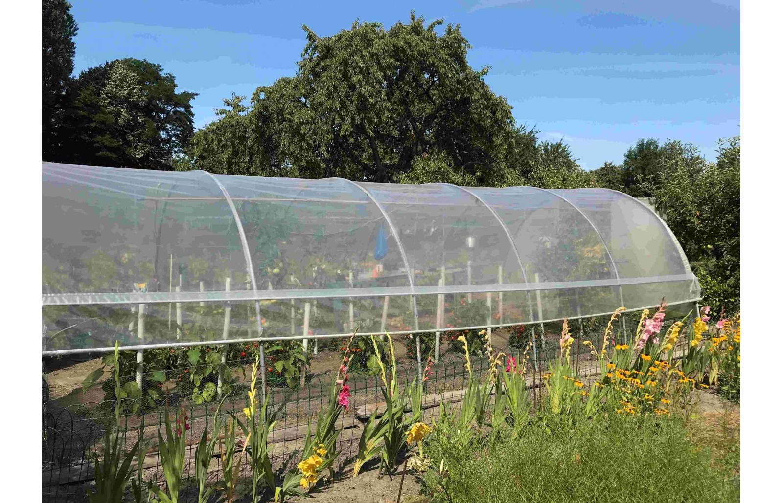 Serre tunnel de jardin - 33m² - 3,7 x 9 m - pieds arrondis - polyéthylène haute densité - aérations latérales - LES SERRES TONNEAU - Image 6