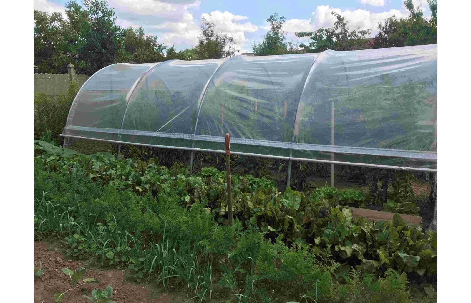 Serre tunnel de jardin - 33m² -  3,7 x 9 m - pieds arrondis - polyéthylène haute densité - aérations latérales - LES SERRES TONNEAU - Image 7