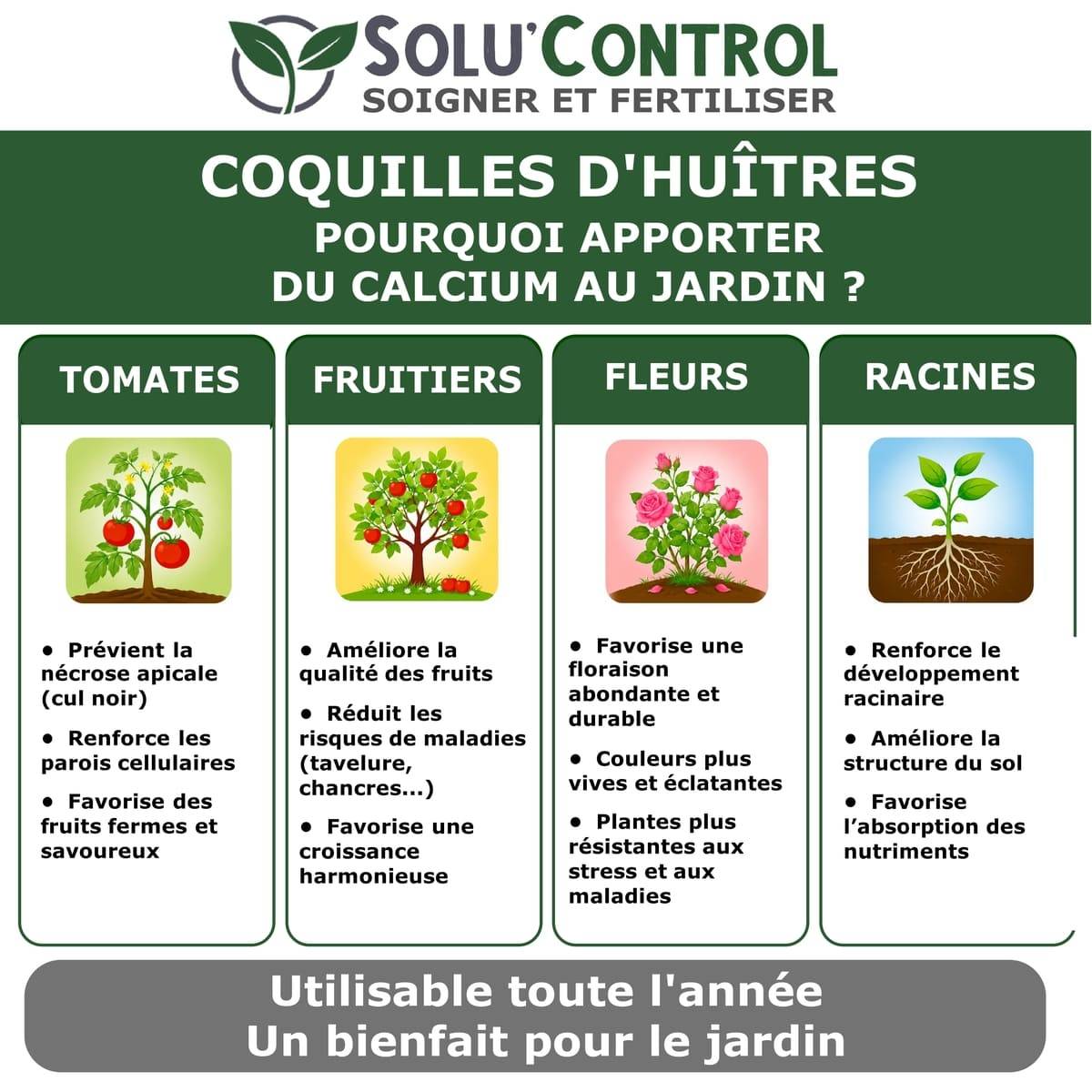 Tout pour les nuisibles - 25 kg Écailles de Coquilles d'Huîtres Concassées 38% Calcium - SOLU'CONTROL - Calcium Marin - Image 4