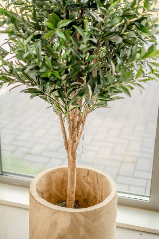 Olivier - Arbre artificiel- La Green Touch - Image 5