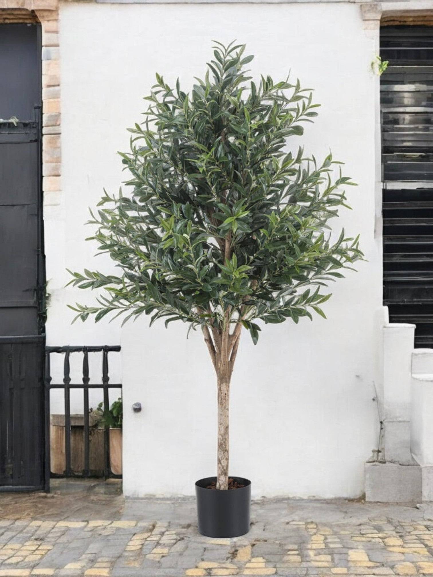 Olivier - Arbre artificiel- La Green Touch - Image 1