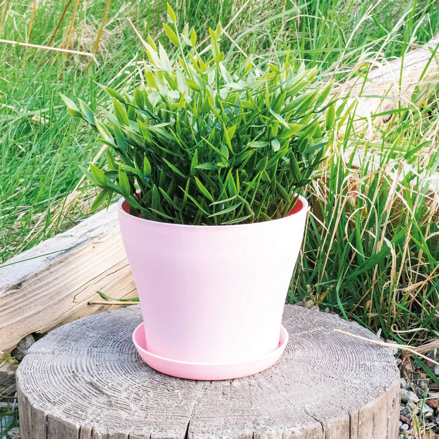 Lot De 4 Pots à Fleurs Plastique Blanc Avec Soucoupe St Helens Home And Garden 20cm