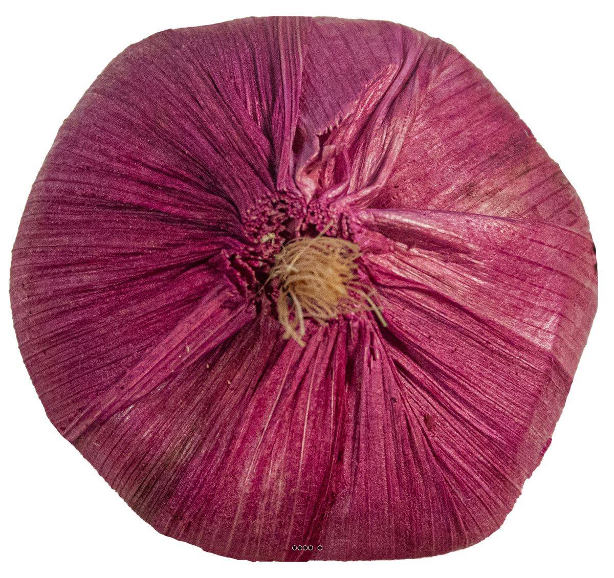 Tete d'ail artificielle D 5,5 cm et H 6,5 cm environ ail violet - Image 2