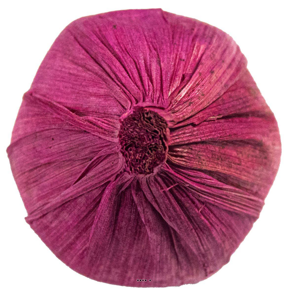 Tete d'ail artificielle D 5,5 cm et H 6,5 cm environ ail violet - Image 3