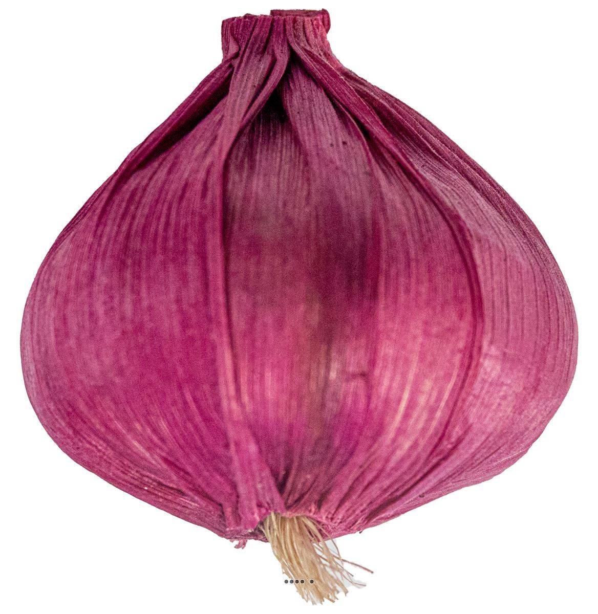 Tete d'ail artificielle D 5,5 cm et H 6,5 cm environ ail violet - Image 1
