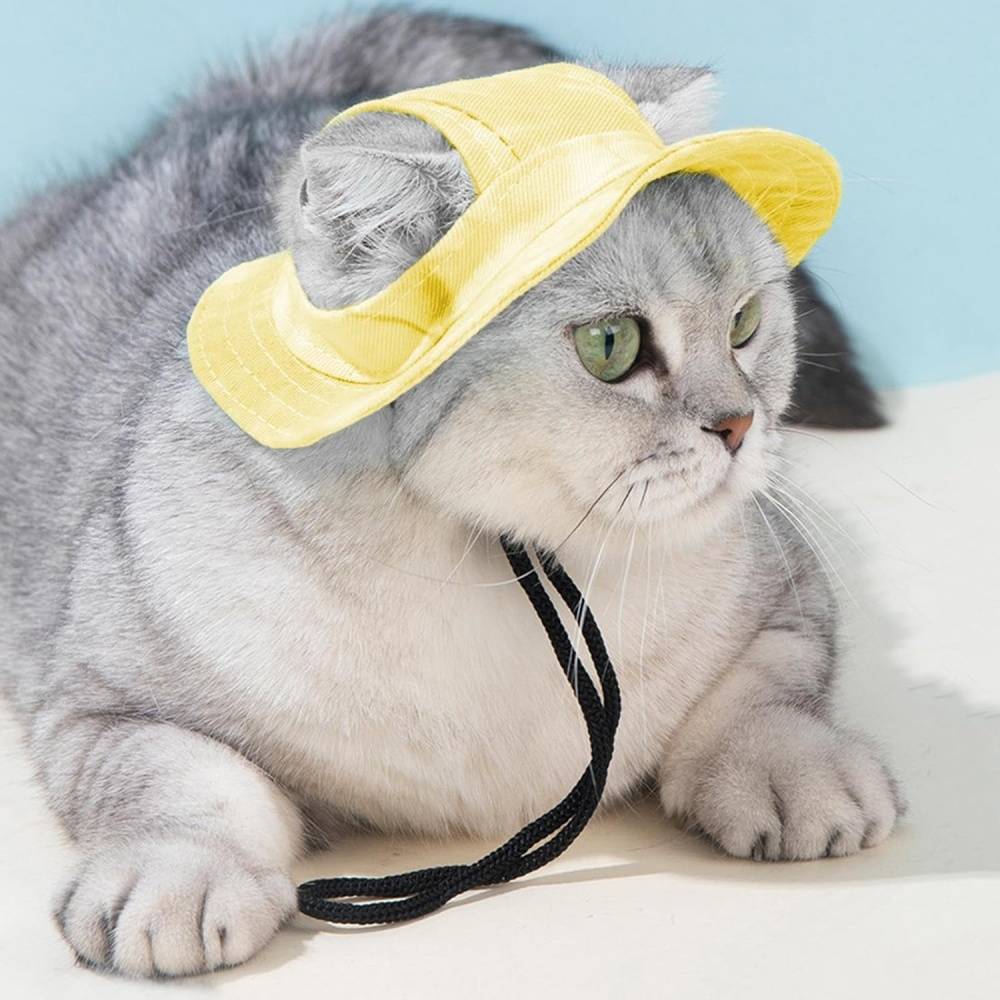 Chapeau de princesse pour chien - Bord large, réglable - Protection solaire - Taille unique (3-5,5 kg) -jaune- Living123 - Image 6