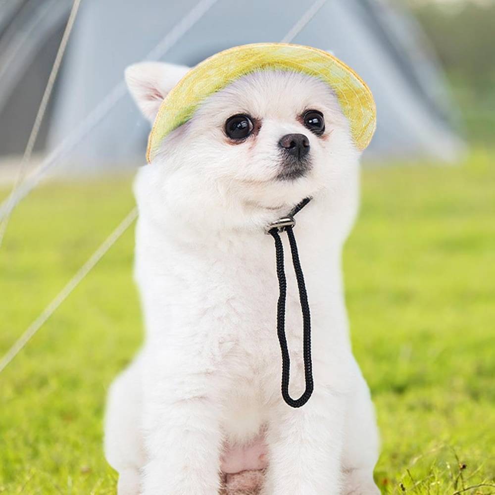 Chapeau de princesse pour chien - Bord large, réglable - Protection solaire - Taille unique (3-5,5 kg) -jaune- Living123 - Image 5