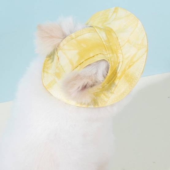 Chapeau de princesse pour chien - Bord large, réglable - Protection solaire - Taille unique (3-5,5 kg) -jaune- Living123 - Image 3
