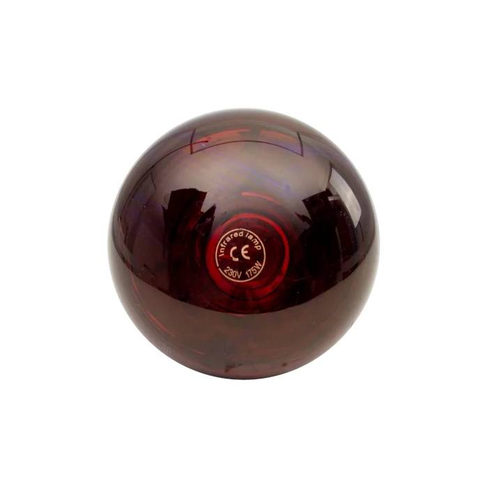 Horizont - Ampoule infrarouge IR 175 W rouge - Image 2
