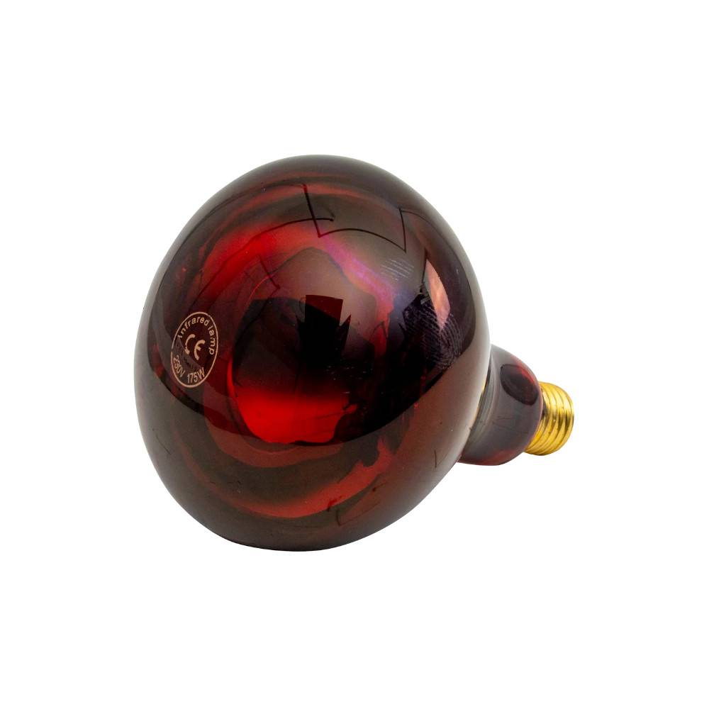 Horizont - Ampoule infrarouge IR 175 W rouge - Image 1