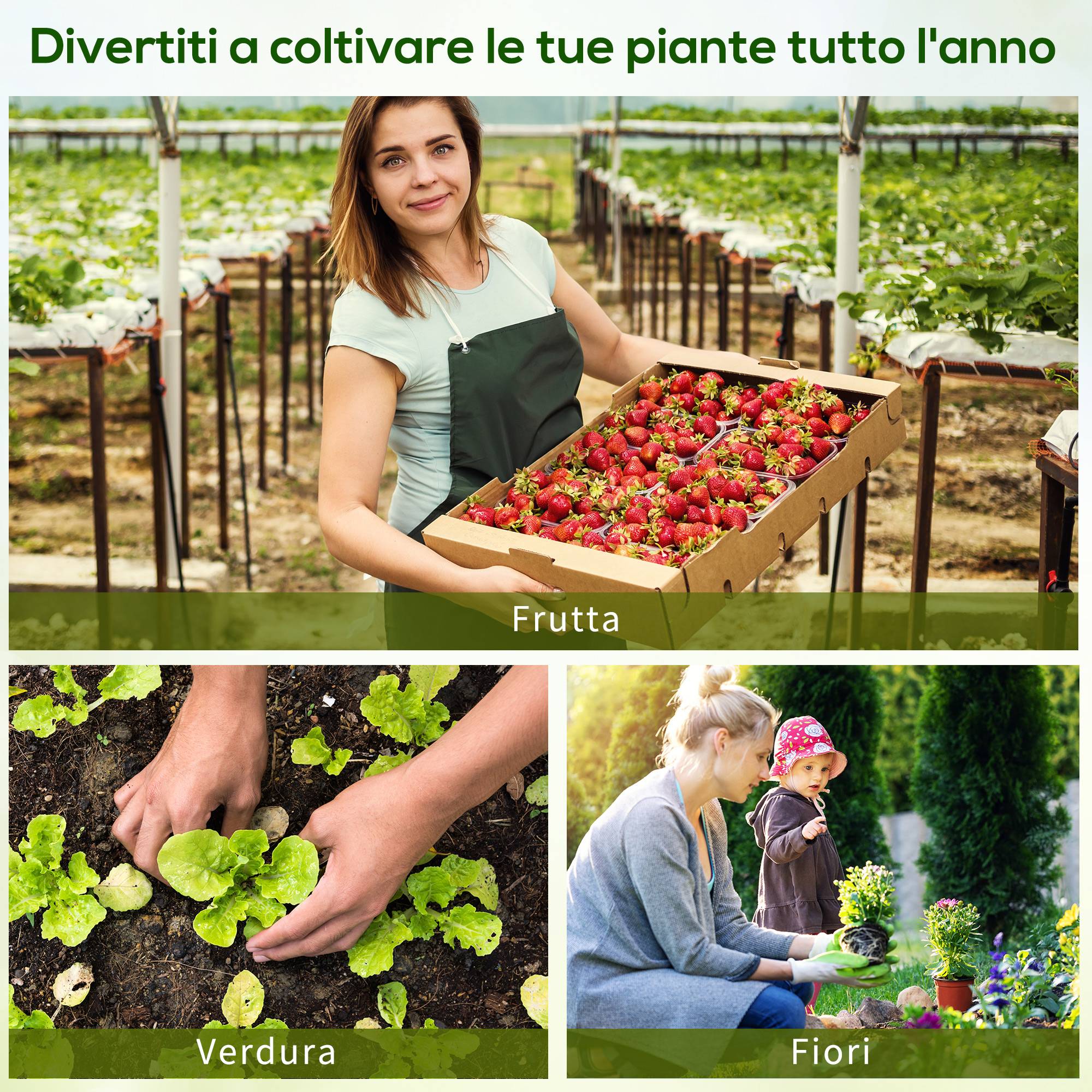 Sans Marque - Serre de jardin acier PE 180x90x90 cm serre robuste bâche renforcée culture légumes fleurs serre potagère verte jardin extérieur - Image 8