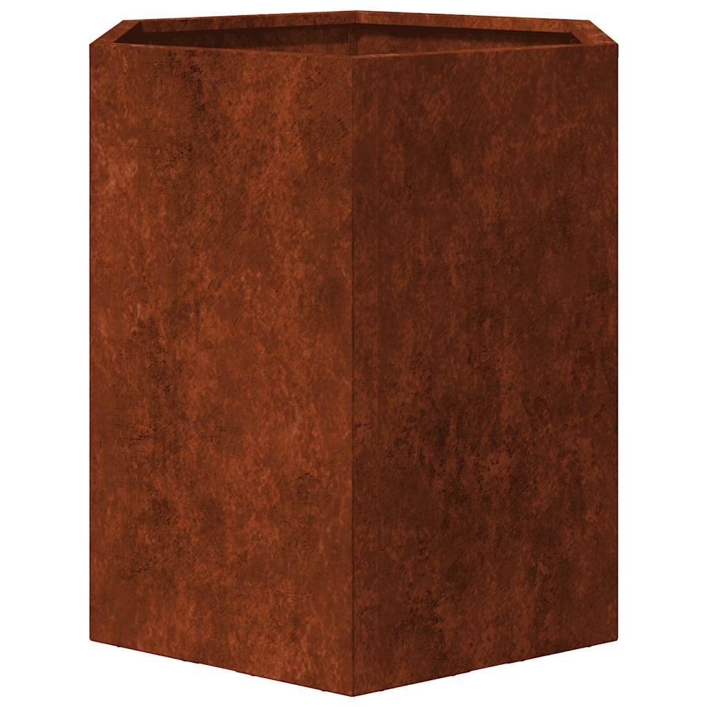 Jardinières hexagonales acier patinable 46 x 40 x 45 cm (2 pcs) - PANGIVO - Image 10