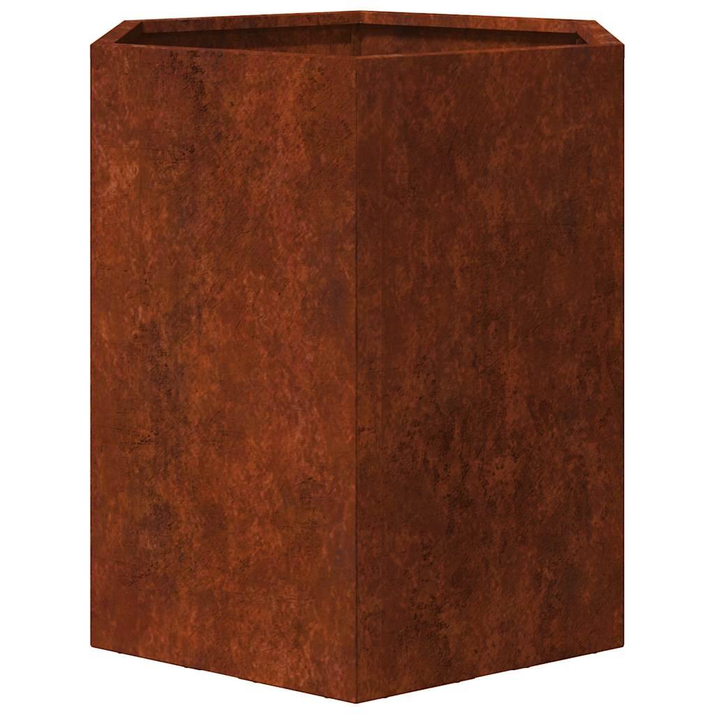 Jardinières hexagonales acier patinable 46 x 40 x 45 cm (2 pcs) - PANGIVO - Image 9