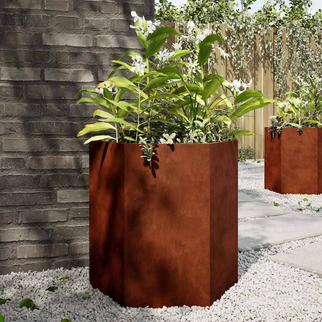 Jardinières hexagonales acier patinable 46 x 40 x 45 cm (2 pcs) - PANGIVO - Image 1