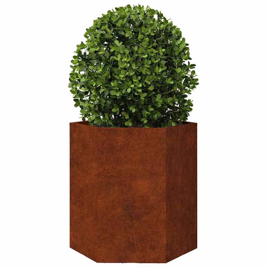 Jardinières hexagonales acier patinable 46 x 40 x 45 cm (2 pcs) - PANGIVO - Image 6