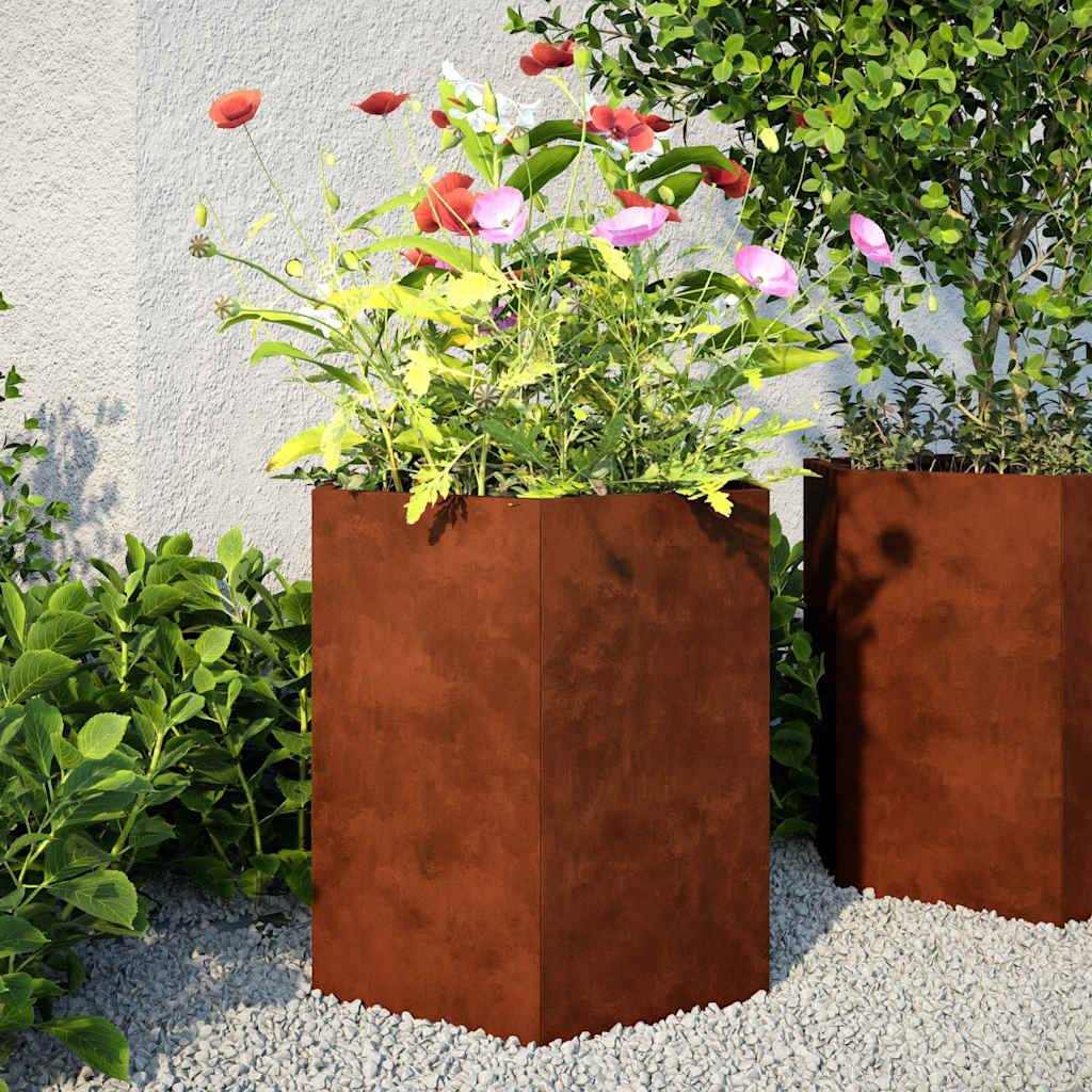 Jardinières hexagonales acier patinable 46 x 40 x 45 cm (2 pcs) - PANGIVO - Image 3