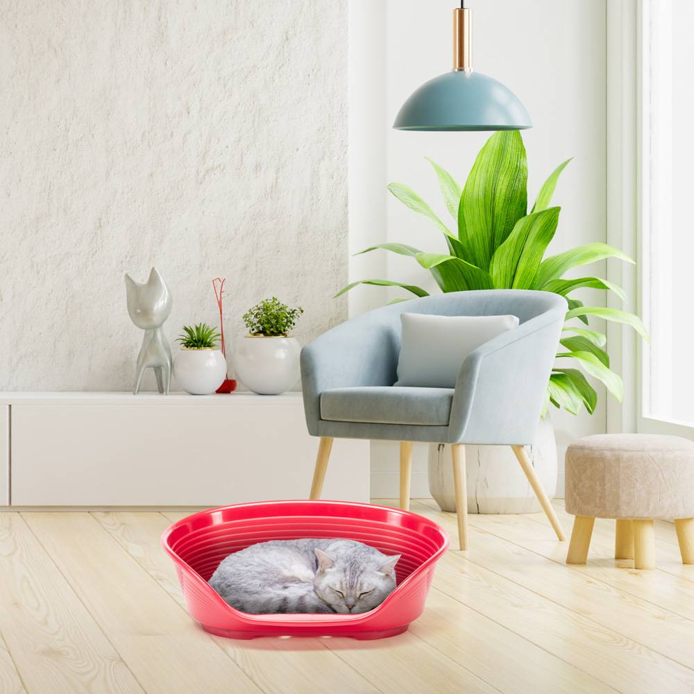 Ferplast - FERPLAST - Panier Chien Panier Chat  - Lit pour Chien en Plastique Small - 100% Plastique Recyclé - Lit pou Chat Lavable - Respirant  Antidérapant - - Image 4