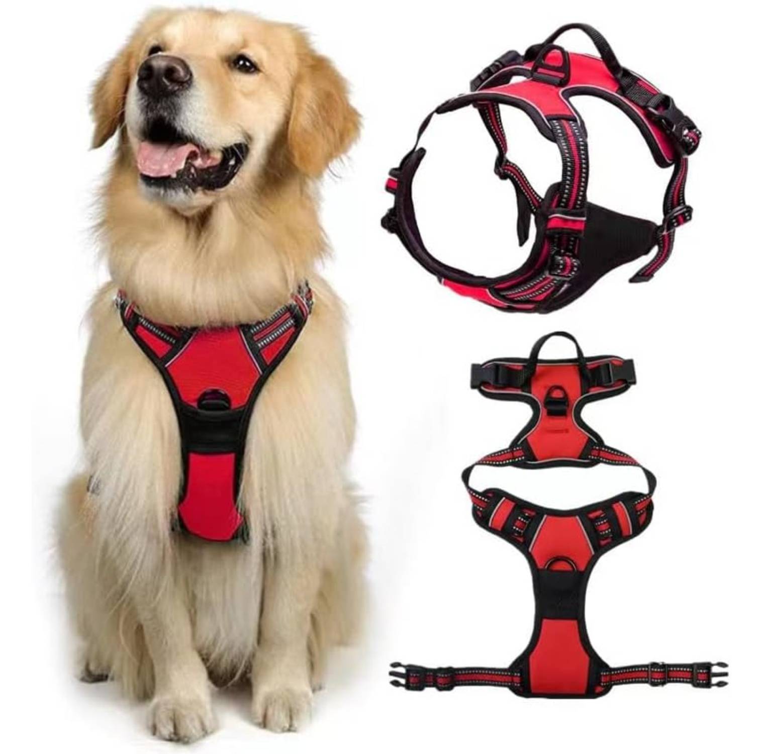 DtopbuyAge - Harnais-Laisse Réfléchissant pour Grand Chien L - Image 2